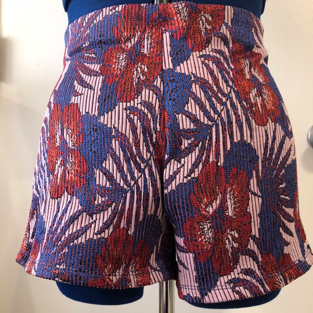 Zara Shorts
